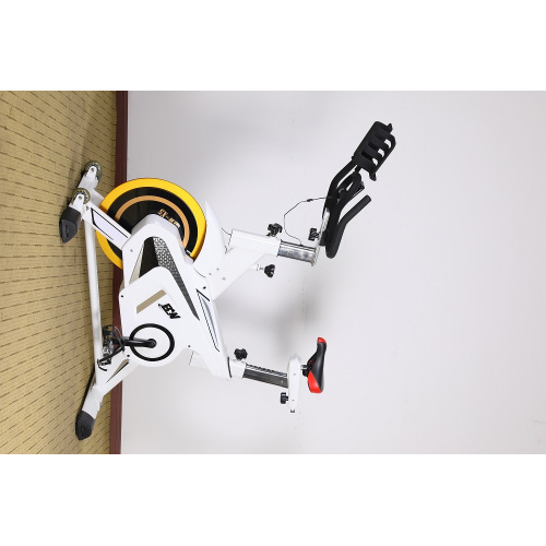 Indoor Cycling Exercise Commercial Magnetic Spin Bike